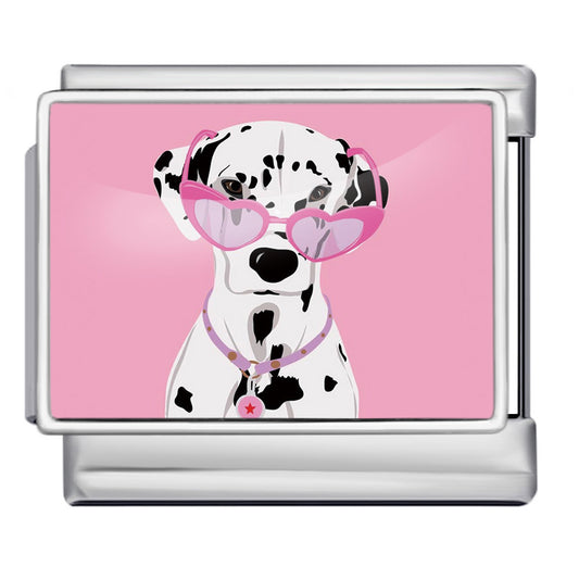 Charm dálmata