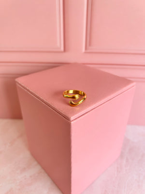 anillo Abrazo anillo Abrazo