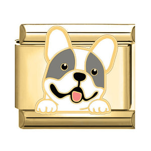 Charm perro Charm perro