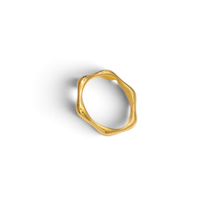 Anillo Irregular delgado Anillo Irregular delgado
