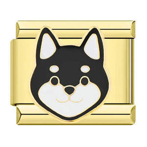 Charm perro Charm perro