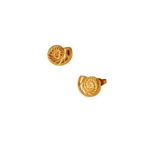 Arete espiral Arete espiral