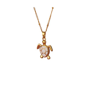 Collar tortuga Collar tortuga