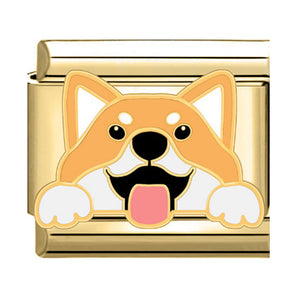 Charm perro Charm perro