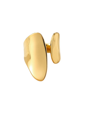 Anillo forma Anillo forma