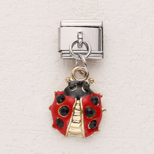 Charm catarina Charm catarina