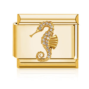 Charm caballito