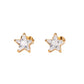 Arete estrella circonia ⭐️