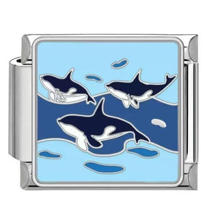 Charm Orca