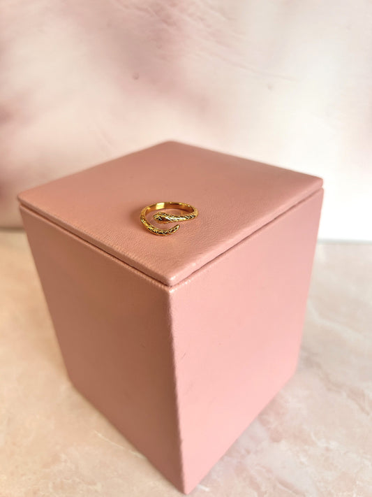 Anillo Serpiente