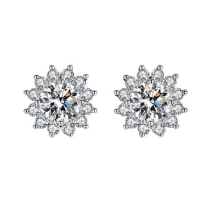 Arete circonia festivo