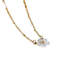 Collar flor blanca