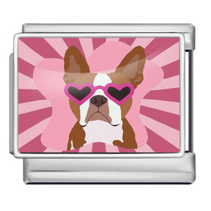 Charm perro
