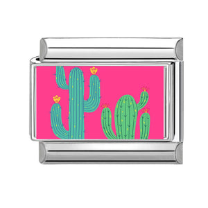 Charm cactus