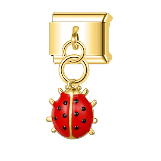 Charm catarina