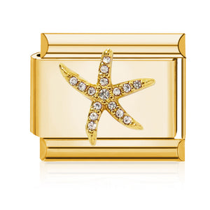 Charm estrella de mar