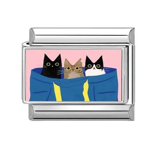 Charm gato
