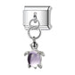 Charm tortuga
