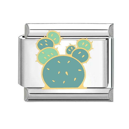Charm cactus