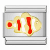 Charm nemo