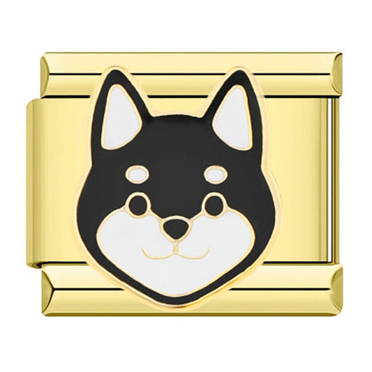 Charm perro