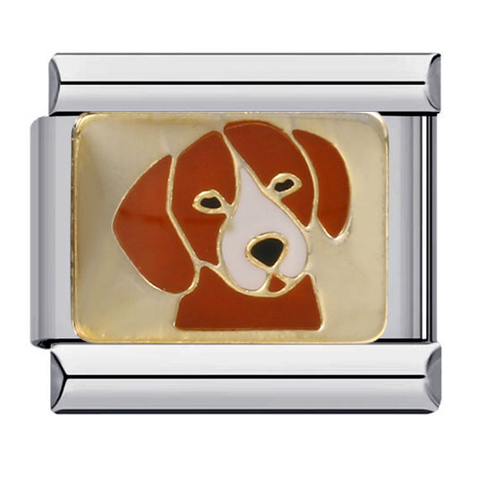 Charm perro café