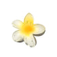 Pinza flor