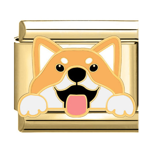 Charm perro