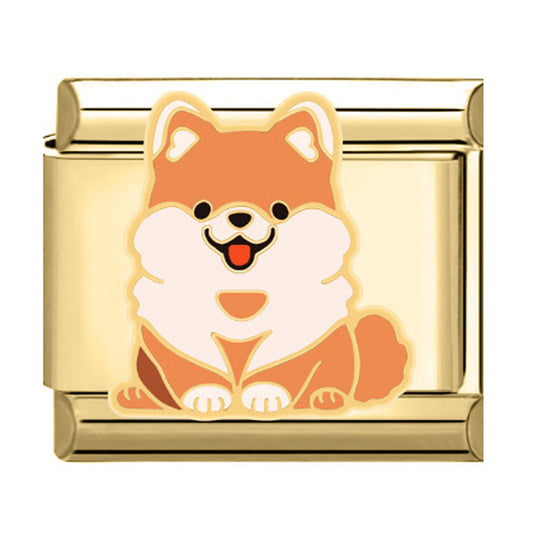Charm perro