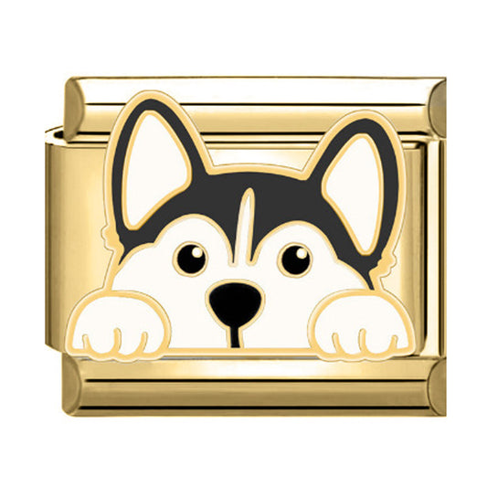 Charm perro