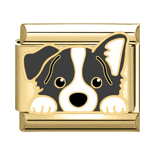 Charm perro