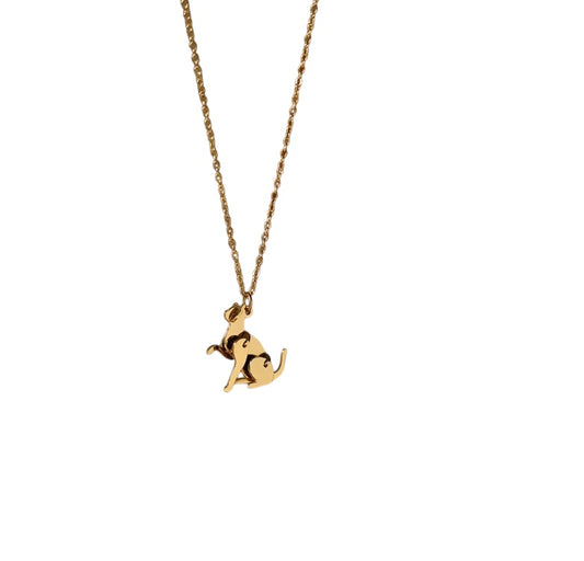 Collar gato