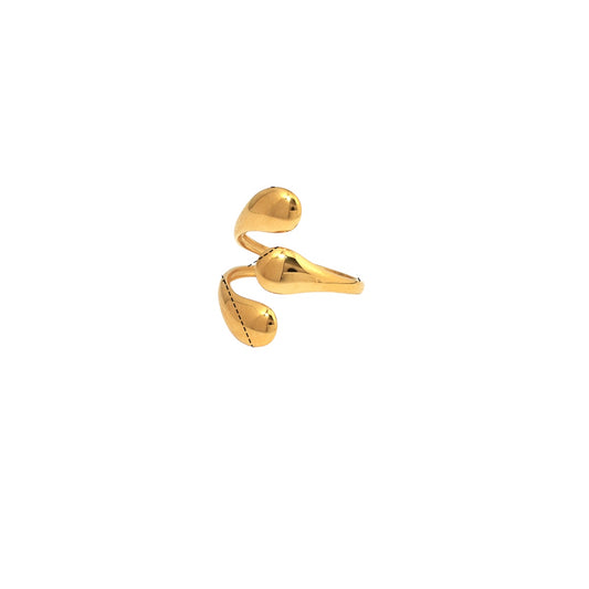 Anillo irregular