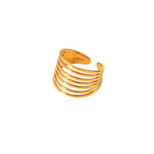 Anillo múltiple